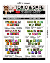 Load image into Gallery viewer, Premium Set of 2 Toxic and Safe Foods, Plants & Flowers for Pets Dogs Cats Emergency 8.5" x 11" Veterinarian Approved Fridge Safety Magnet