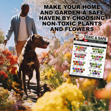 Load image into Gallery viewer, Magnetic List of Toxic Safe House Plants Garden Flowers for Pets - Dog Cat Safety Chart - Plants Flowers Dogs Cats Should Not Eat - Chart Decorative Magnets - Pet Safety - Pet Adoption Essentials Gift 8.5 x 11 inches