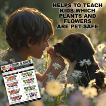 Load image into Gallery viewer, Magnetic List of Toxic Safe House Plants Garden Flowers for Pets - Dog Cat Safety Chart - Plants Flowers Dogs Cats Should Not Eat - Chart Decorative Magnets - Pet Safety - Pet Adoption Essentials Gift 8.5 x 11 inches