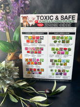 Load image into Gallery viewer, Magnetic List of Toxic Safe House Plants Garden Flowers for Pets - Dog Cat Safety Chart - Plants Flowers Dogs Cats Should Not Eat - Chart Decorative Magnets - Pet Safety - Pet Adoption Essentials Gift 8.5 x 11 inches