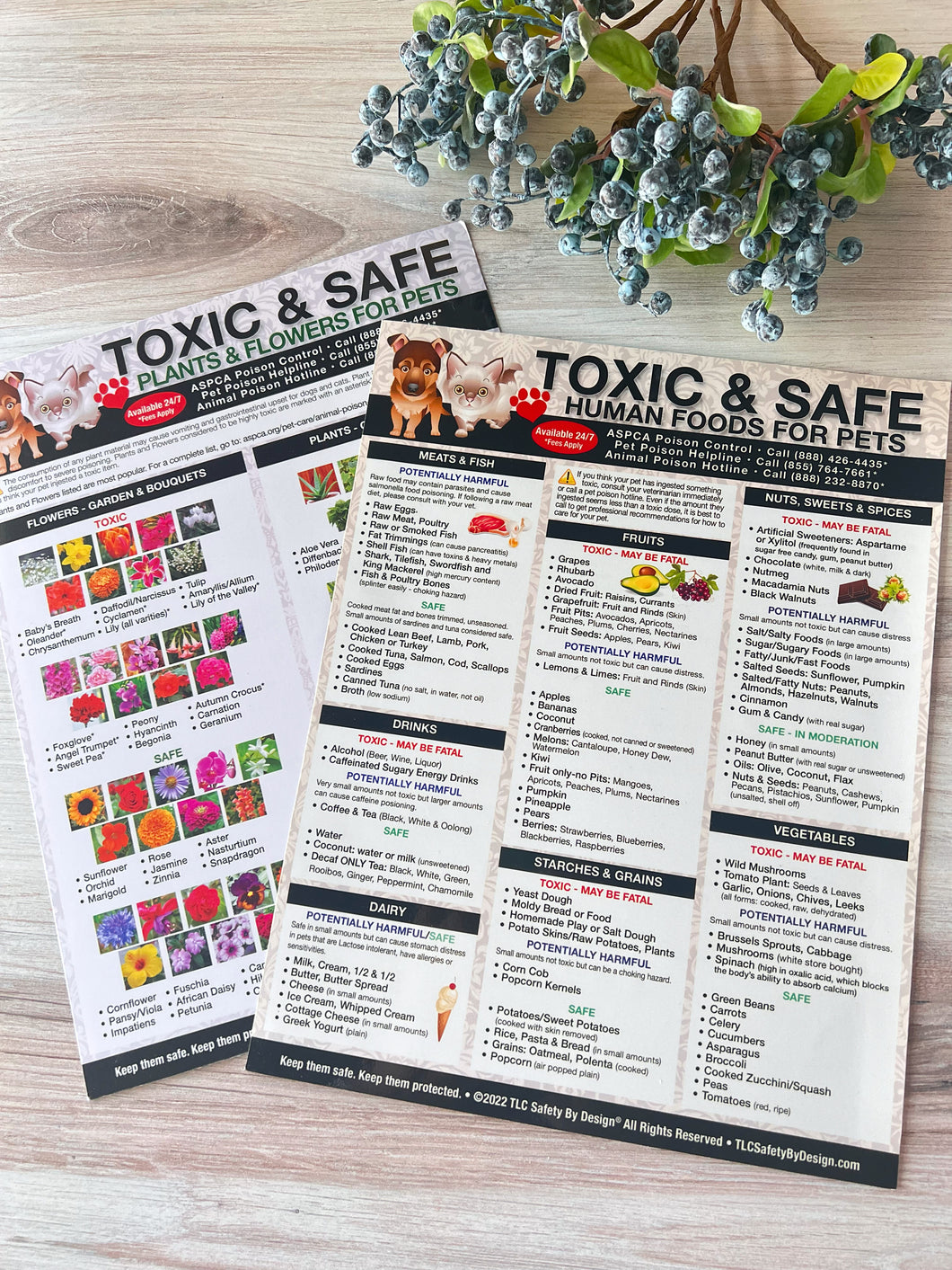Premium Set of 2 Toxic and Safe Foods, Plants & Flowers for Pets Dogs Cats Emergency 8.5