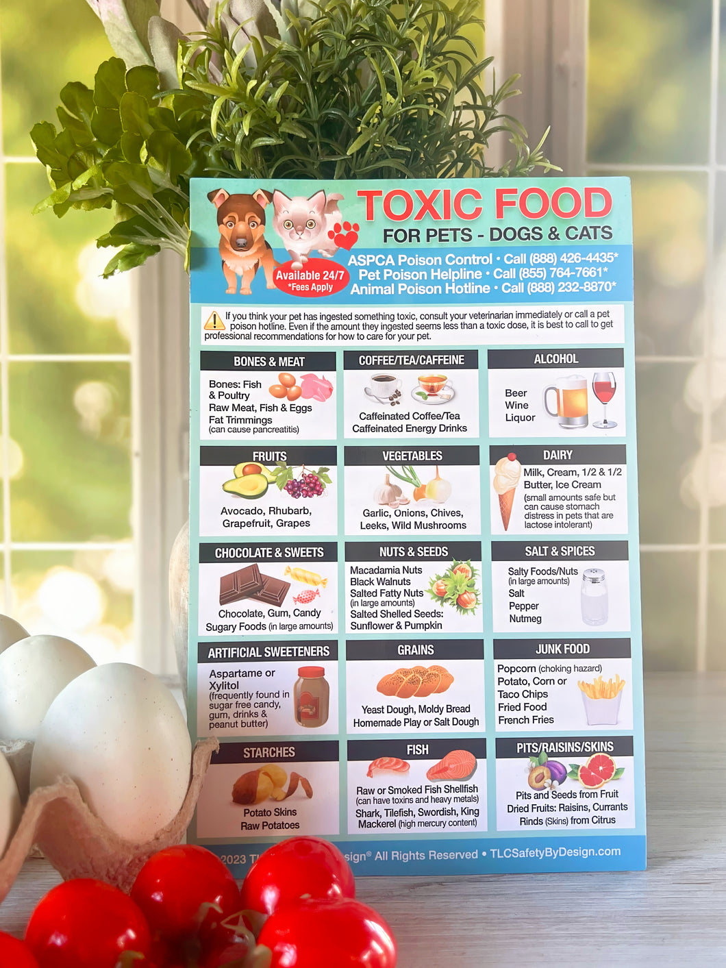 Toxic Harmful Foods for Pets 5.5” x 8.5” Fridge Safety Magnet Dogs Cats Poison Emergency Veterinarian Approved