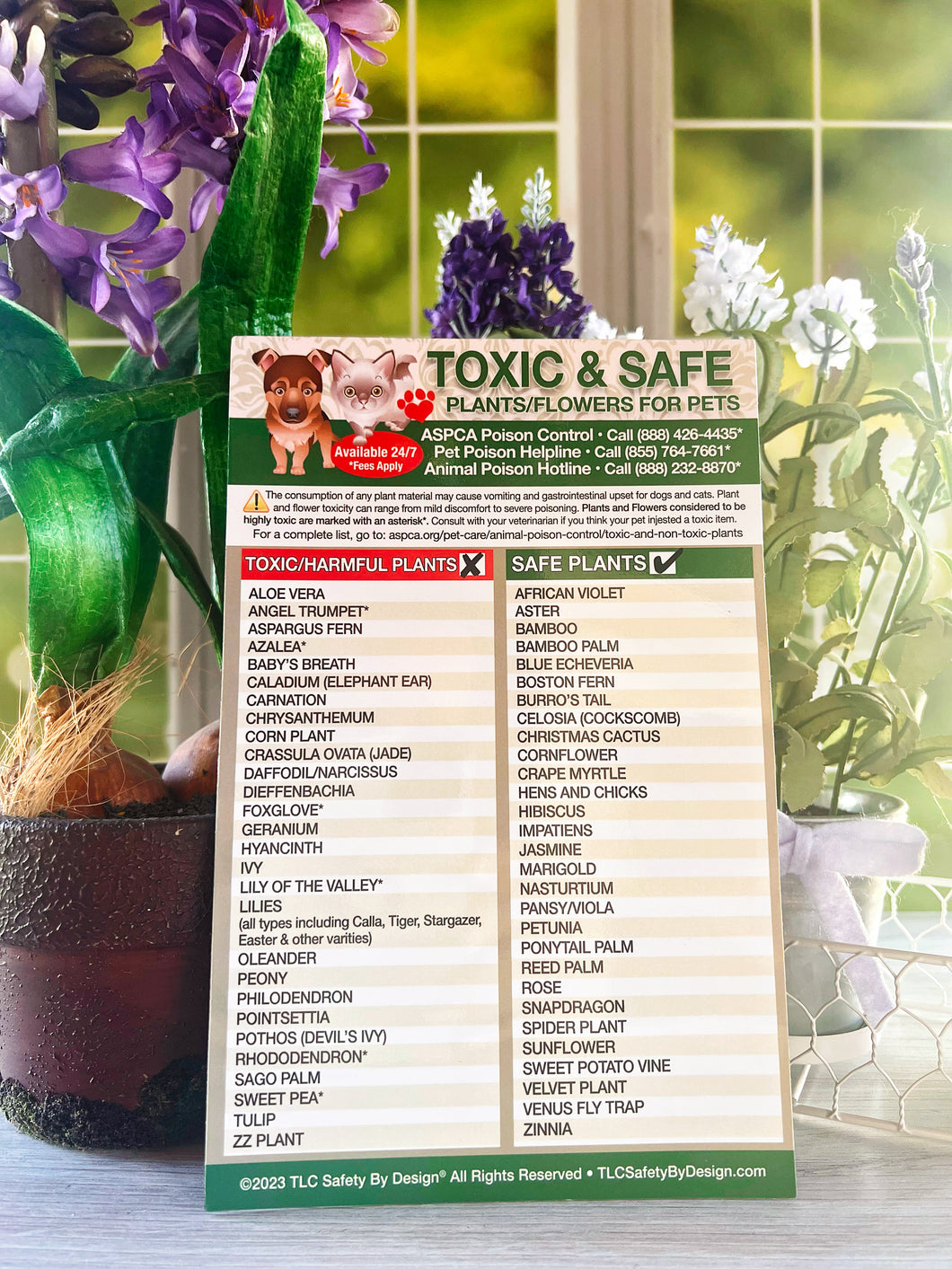 Toxic Plants and Flowers for Pets 5.5” x 8.5” Fridge Safety Magnet Dogs Cats Poison Emergency Veterinarian Approved