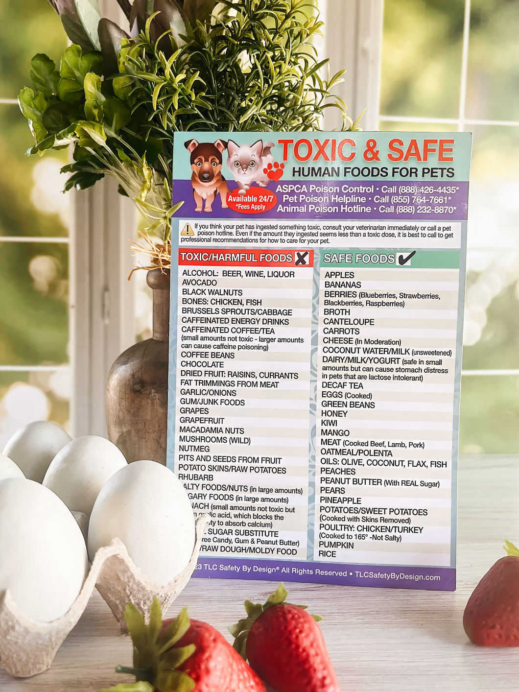 Toxic Harmful and Safe Foods for Pets Fridge Safety Magnet 5.5” x 8.5”  Dogs Cats Poison Emergency Veterinarian Approved