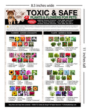 Load image into Gallery viewer, TOXIC and SAFE PLANTS &amp; FLOWERS Large Format 8.5&quot; x11&quot; Fridge Safety Magnet for Pets Dogs Cats Emergency Home Alone Veterinarian Approved
