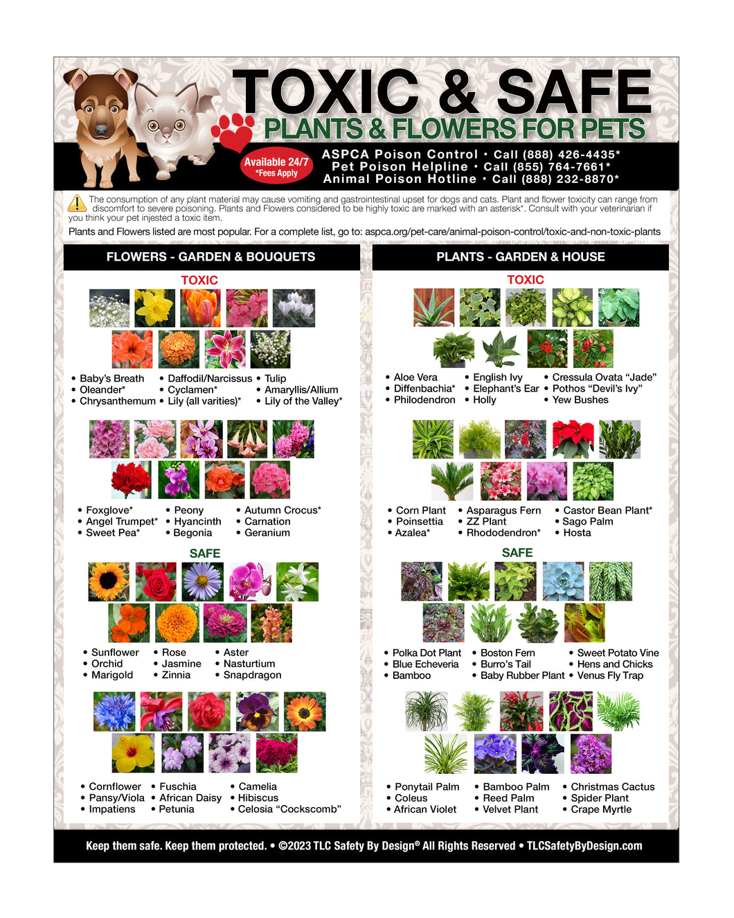 TOXIC and SAFE PLANTS & FLOWERS Large Format 8.5