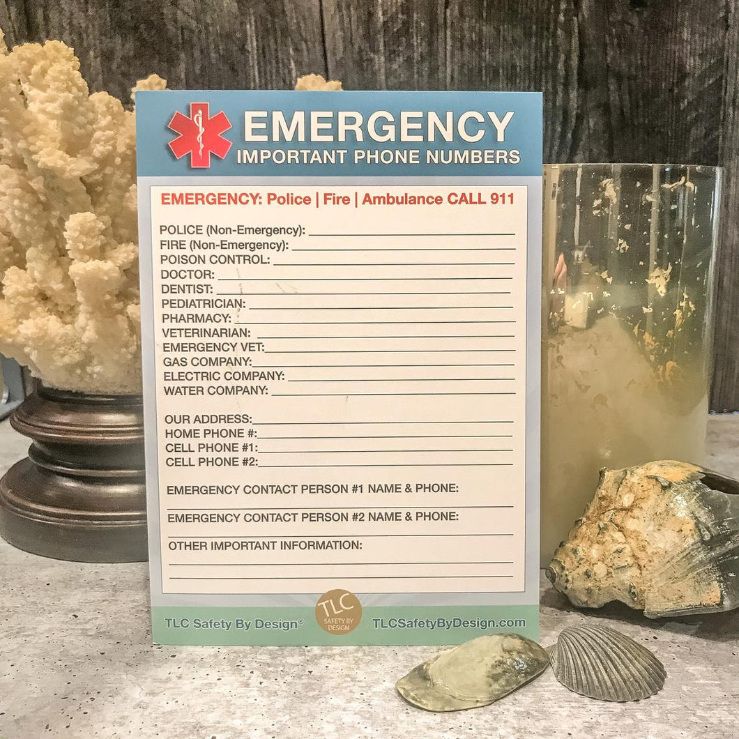 EMERGENCY CONTACT CARDS Magnetic Sleeve Home Alone 5.5” x 7.5” - safety list for parents, pet owners, babysitters, grandparents, dorm rooms Blue