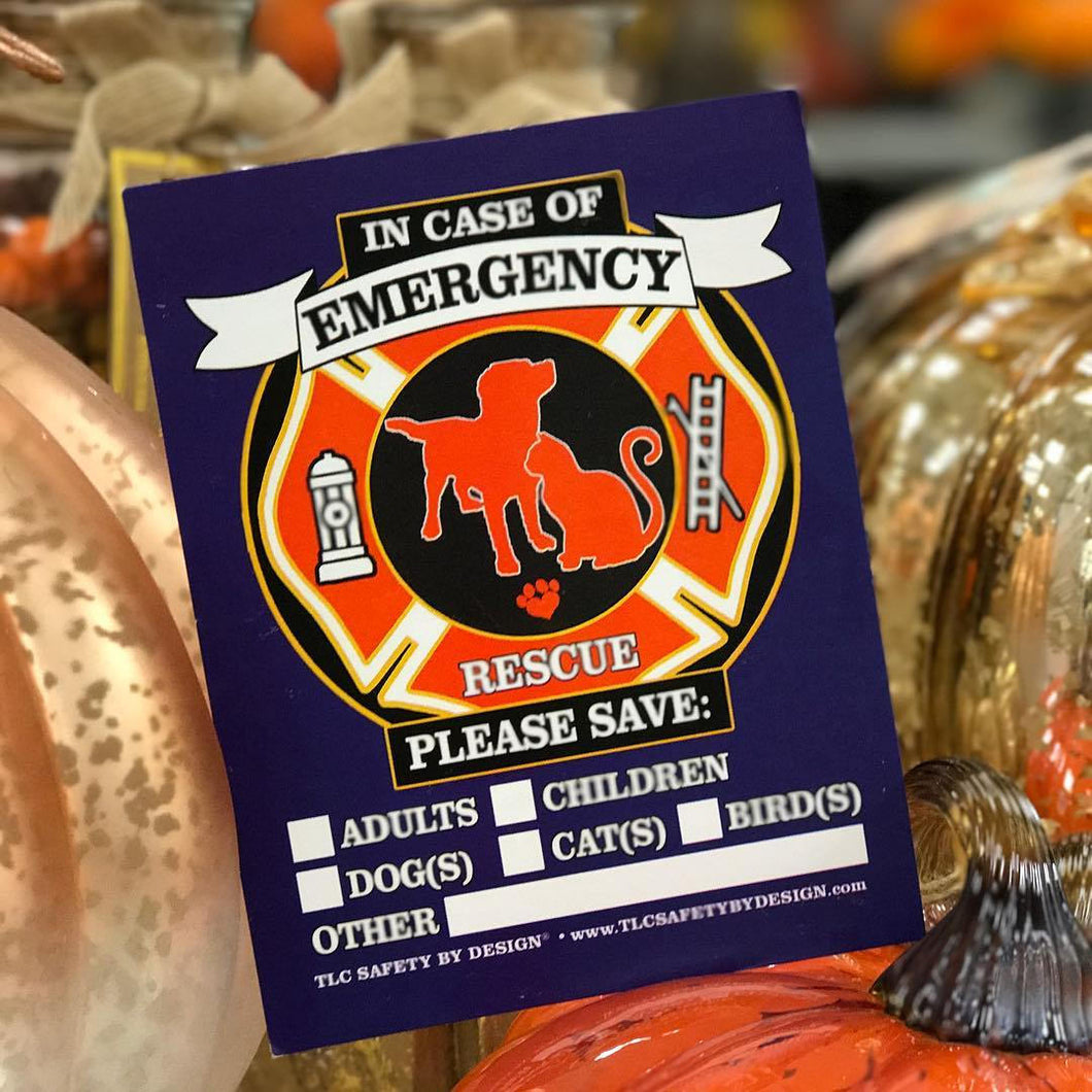 PET FIRE EMERGENCY Home Alone Safety Alert Rescue Emergency Pets Kids 4