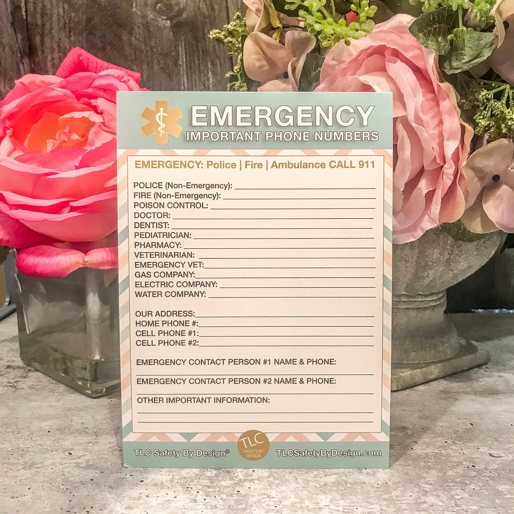 EMERGENCY CONTACT CARDS Magnetic Sleeve Home Alone 5.5” x 7.5” - safety contact list for parents, babysitters, grandparents, dorm rooms Pastel Blue